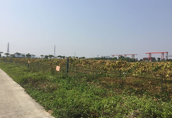 东莞百香岛生态农业旅游区第 9 张图片