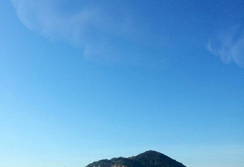 蛤蜊岛第 40 张图片