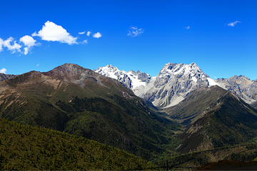 白马雪山第 5 张图片