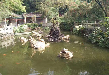 翔顺龙山酒店温泉第 22 张图片