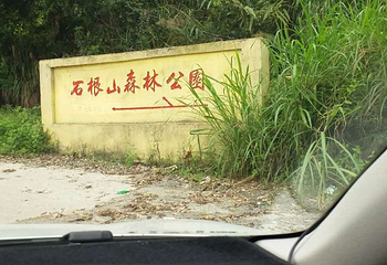 石根山第 45 张图片