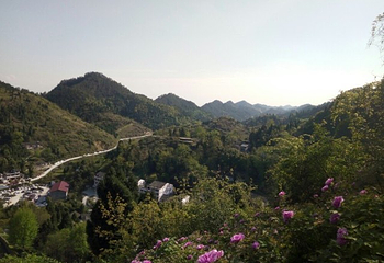 重庆垫江牡丹生态旅游区第 24 张图片
