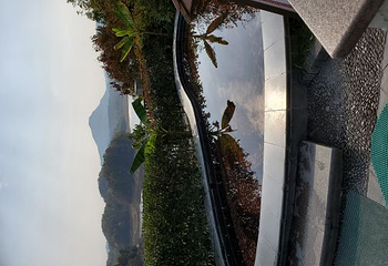 茗阳汤泉第 43 张图片