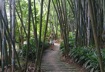 凤凰谷景区第 24 张图片
