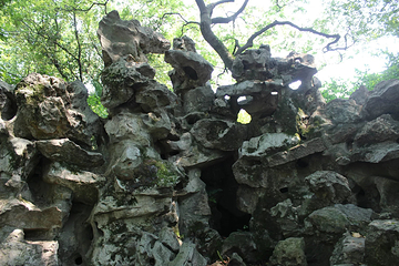 莲花庄公园第 8 张图片