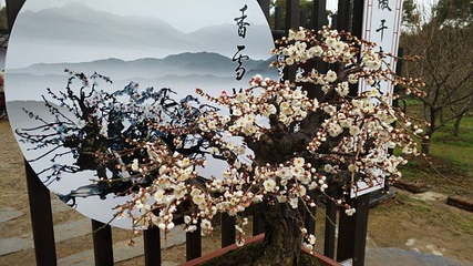 光福景区第 16 张图片