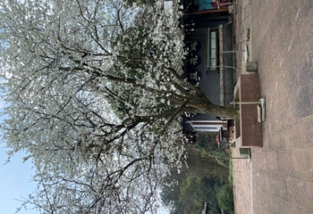石象湖景区第 26 张图片