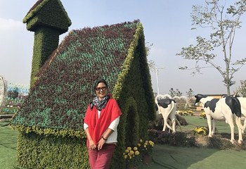 鄢陵五彩大地景区第 31 张图片