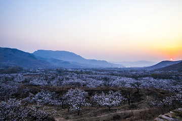 莲台山度假村·济南莲台山度假村第 8 张图片