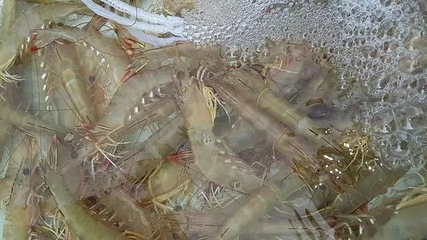 安波光明温泉第 14 张图片