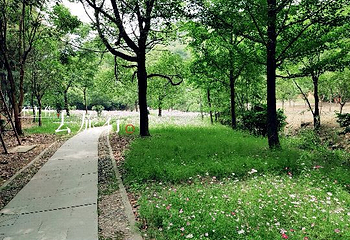 五磊山风景区第 14 张图片