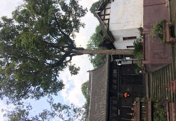 新津观音寺第 3 张图片
