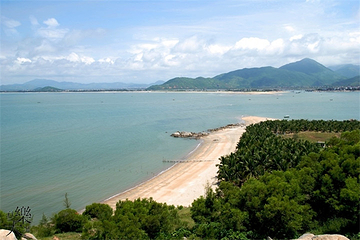 大树岛第 19 张图片
