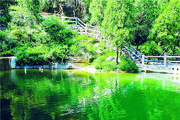 黄金谷山水风景区第 17 张图片