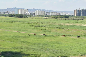 赛汗塔拉旅游娱乐园第 19 张图片