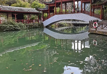 神农顶风景区第 79 张图片