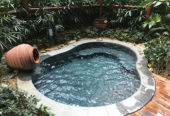 桂湖汇雅温泉第 33 张图片