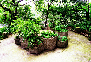 龙凤山公园第 6 张图片