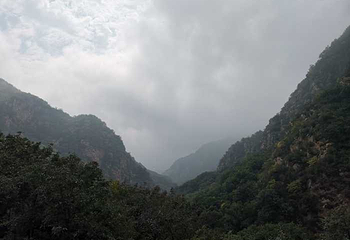 九山顶自然风景区第 38 张图片