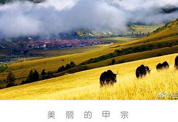 玉科大草原第 7 张图片