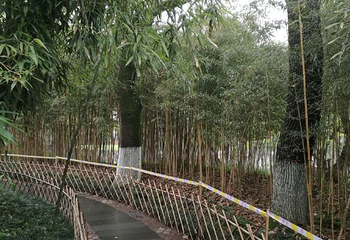 汴京公园第 23 张图片