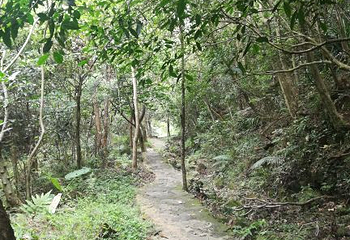 广东天马山旅游景区第 20 张图片