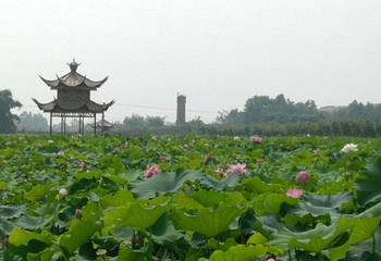 蜀国鹃都第 26 张图片