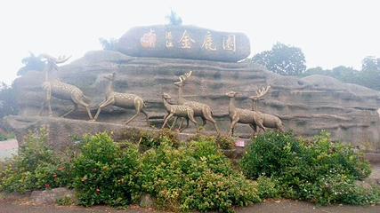 金鹿园第 34 张图片