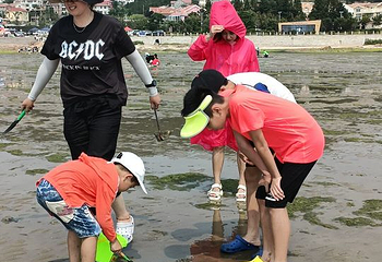 第二海水浴场第 11 张图片