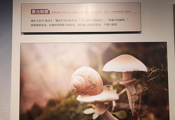 茅山东方盐湖城第 87 张图片