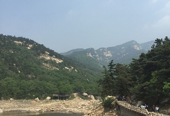 明光寺佛教文化景区第 62 张图片