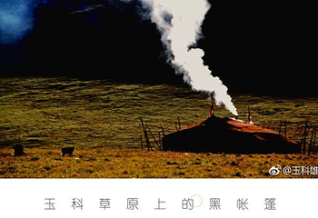 玉科大草原第 9 张图片