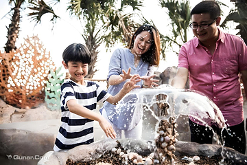 上海迪士尼度假区第 94 张图片