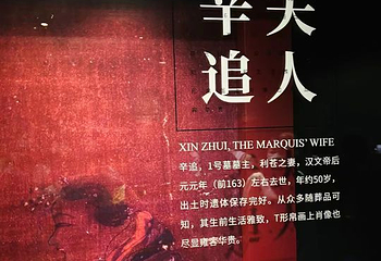 爱晚亭第 19 张图片