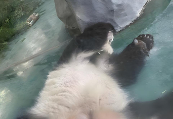 安吉竹博园第 146 张图片