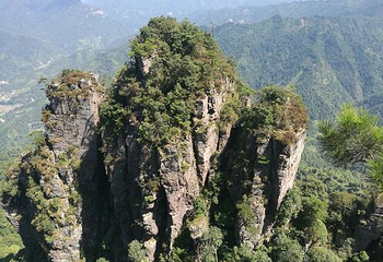 广西大瑶山国家级自然保护区第 34 张图片
