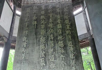 百草园第 22 张图片