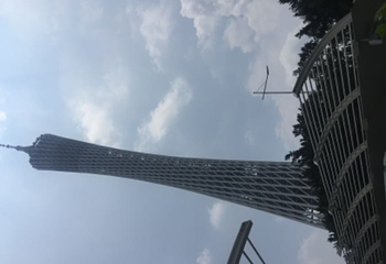 荔湾湖公园第 19 张图片