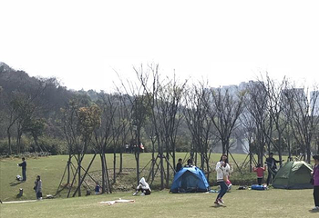 镜湖国家城市湿地公园第 18 张图片