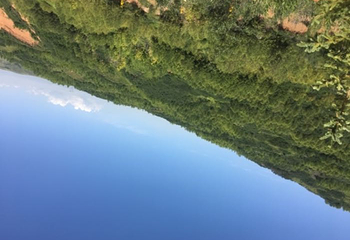 上山庄花海第 16 张图片