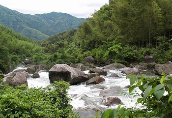 十里竹海大峡谷第 10 张图片