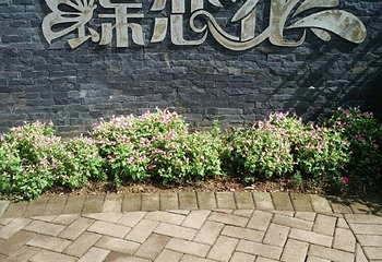 长沙飞鸟乐园第 54 张图片