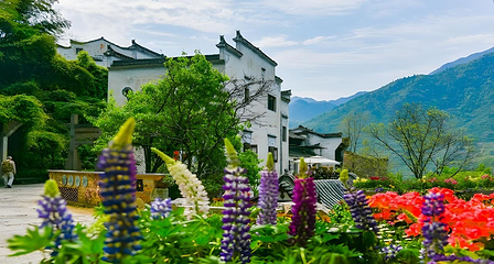 婺源篁岭景区第 14 张图片