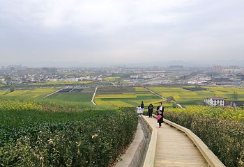 朱鹮生态园第 16 张图片