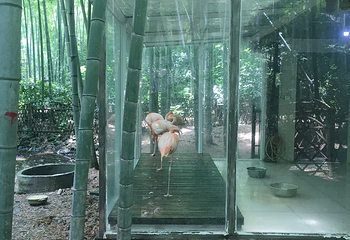 金牛岭第 10 张图片