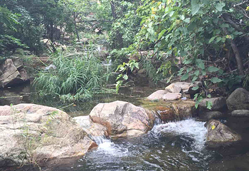 百泉山风景区第 19 张图片