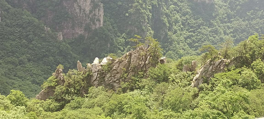 老界岭旅游度假区第 89 张图片