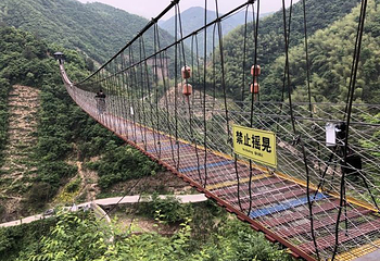 香榧森林公园第 34 张图片