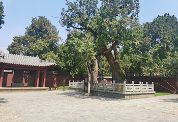 岱庙第 78 张图片