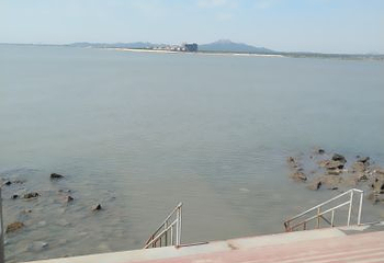 万宝赶海园第 15 张图片